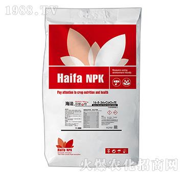 ���������u1̖16-8-34+CaO+TE-������