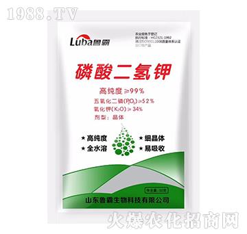 ��������-��������