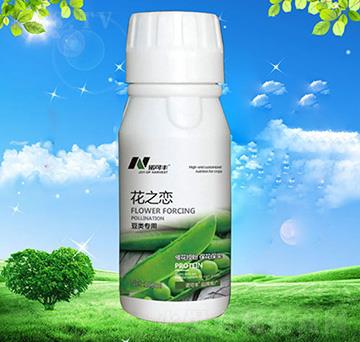 ��֮���|�����ǌ�(zhu��n)��-�Z���S