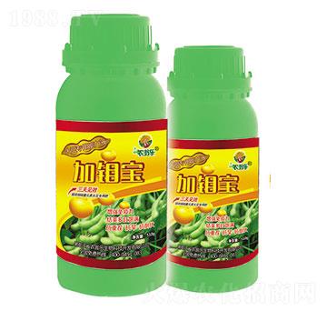 ���(l��i)��(zhu��n)��-���f��-�r(n��ng)�̘�(l��)