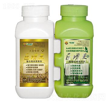 �������󶹌�(zhu��n)��-�r(n��ng)�̘�(l��)