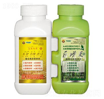 ���������׌�(zhu��n)��-�r(n��ng)�̘�(l��)