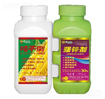 ������+��(qi��ng)�\��-���׌�(zhu��n)��AB�M�Ͽ����I(y��ng)�B(y��ng)-�r(n��ng)�̘�(l��)