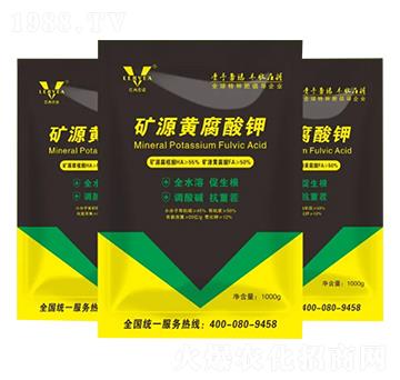 �VԴ�S�����-�������Z