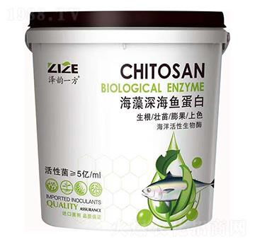 ������~����-���r(n��ng)���