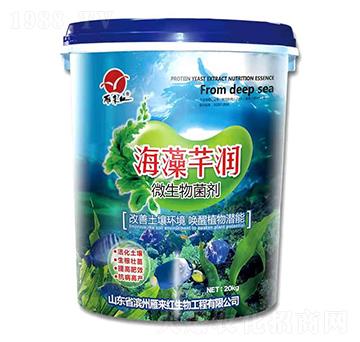 ΢�������-����ܷ��(r��n)-���(l��i)�t