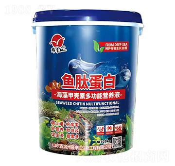 ����ך��ض๦�ܠI(y��ng)�B(y��ng)Һ-�~(y��)�ĵ���-���(l��i)�t