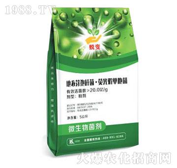 ����ѿ�ߗU�����ɹ�نΰ���-͑׃-����ֲ��