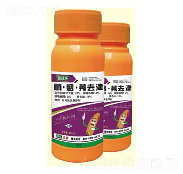 24%��������ݬȥ��-��Gֲ��