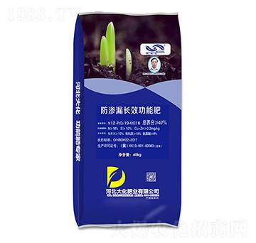 防滲漏長效功能肥-大化肥業(yè)