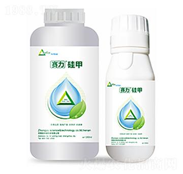 ِ�����-�����Ƽ�