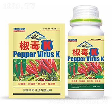 ����K-�����Ƽ�