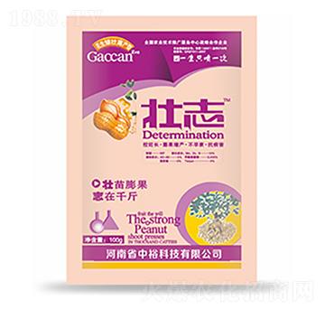 ��־-�����Ƽ�