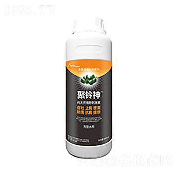 �����-�����Ƽ�