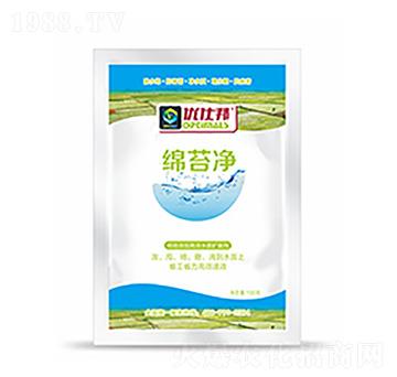 �d̦��-�����Ƽ�