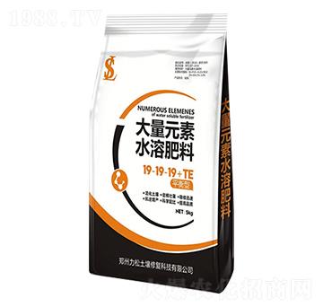 大量元素水溶肥19-19-19+TE（平衡型）-力松