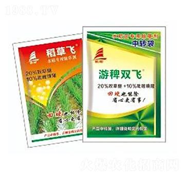 20%�p����+10%���׻�¡-ϲ�S��