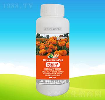 ������-�n��ʘI(y��)