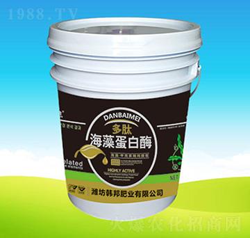 ���ĺ��嵰��ø-�n��ʘI(y��)