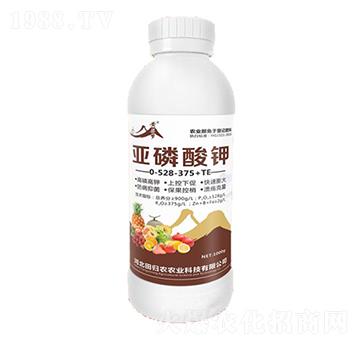 �������0-528-375+TE-�S����-�����r�I(y��)