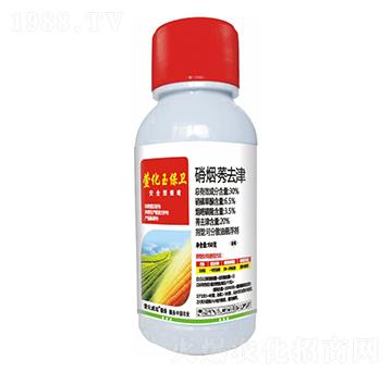 30%������ݬȥ��-�滯���l(w��i)-�滯���h(yu��n)