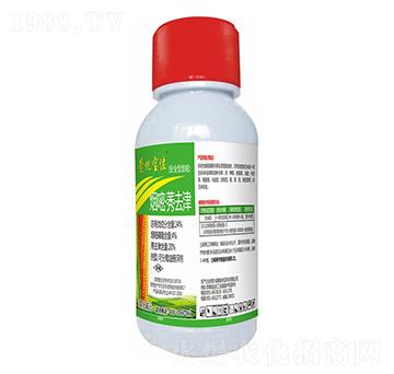 24%���ס�ݬȥ��-�滯��λ-�滯���h(yu��n)