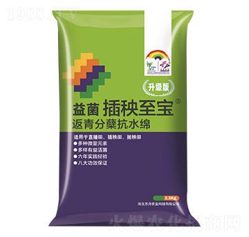 返青分蘗抗水綿-益菌插秧至寶-方舟農業(yè)