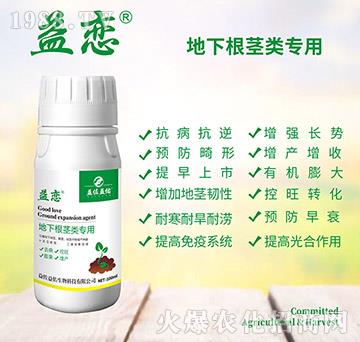 ���¸��o���-���-��������