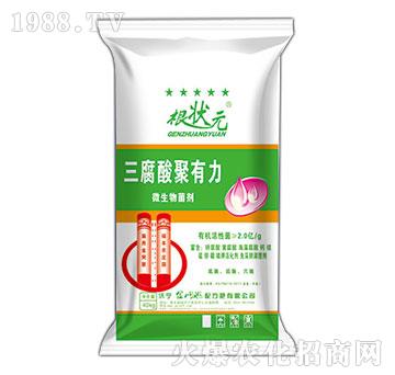 �����������΢�������