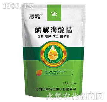 ø�⺣�徫-��ķ�؝�