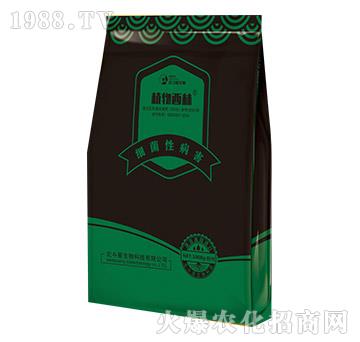 細菌性病害專用微生物菌劑-植物西林-北斗星