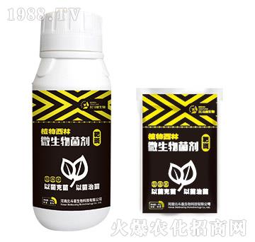 靶斑專用微生物菌劑-植物西林-北斗星