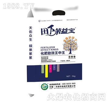 ���µ��挚-��T����