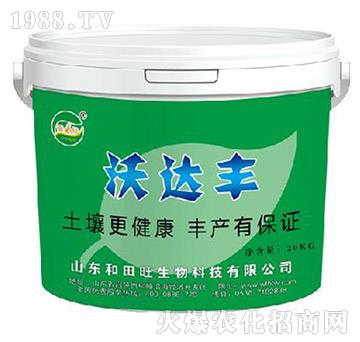 ���_�S-����������