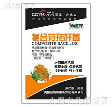 復合芽孢桿菌-沃森特