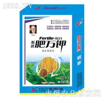 ���݌��÷��f�-꿾�