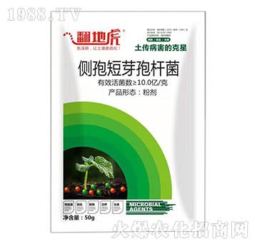 側(cè)孢短芽孢桿菌-翻地虎-碩達