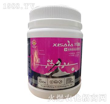 �����;��x̎�턩-����-ϲ�ϼ�