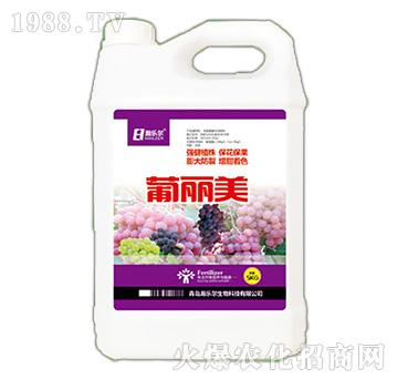 ������-嫘�(l��)��