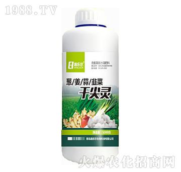 �ɼ��`-嫘�(l��)��