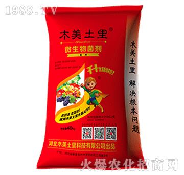 ΢�������-ľ������