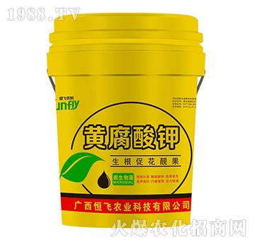 �S�����-���w�r�I(y��)