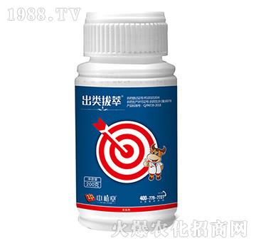 5%虱螨脲-出類拔萃-中植堂