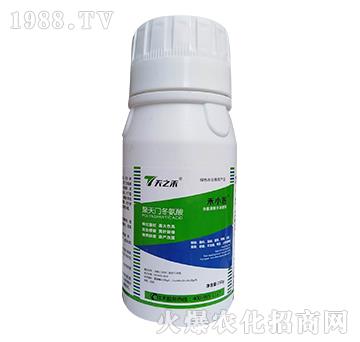 �����T������-��С��-��֮��