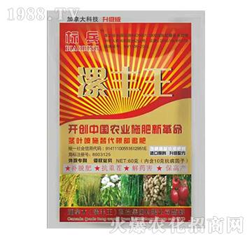 含腐植酸水溶肥料-標(biāo)兵-漯豐王