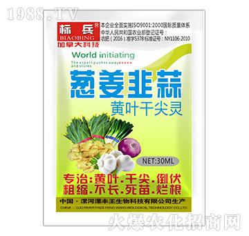 �[�������S�~�ɼ��`-��(bi��o)��-���S��