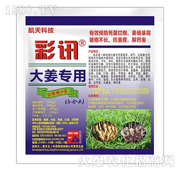 大姜專用抗病增產靈-彩訊-漯豐王