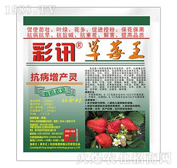 �������a�`-��ݮ��-��Ӎ-���S��