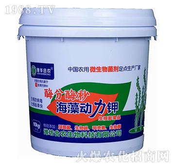 酶分酶秒-海藻動(dòng)力鉀-捷華合農(nóng)