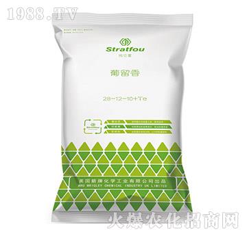 ������28-12-10+TE-ʩ����-�к̄���